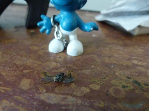 Le tueur de mouche